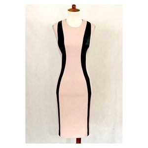 Calvin Klein Sleeveless Blush & Faux Leather Dress